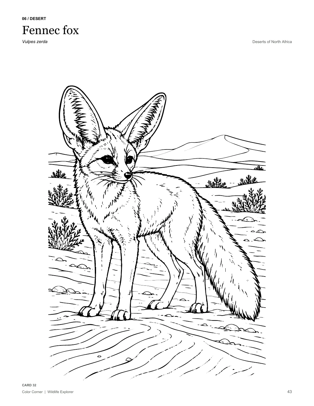 Fennec fox coloring page from the pack
