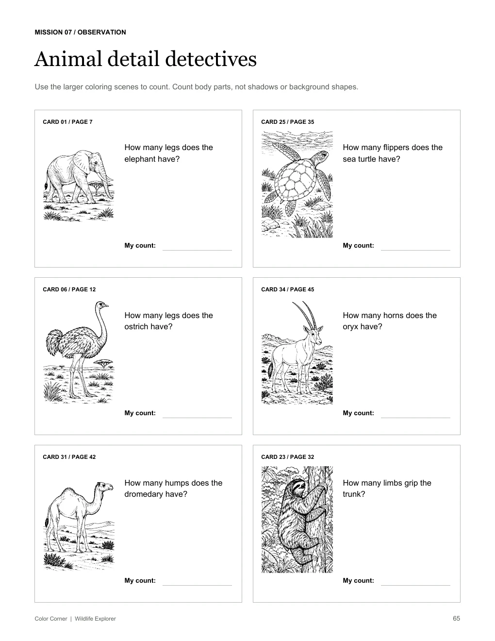 Animal detail detectives worksheet with six counting challenges
