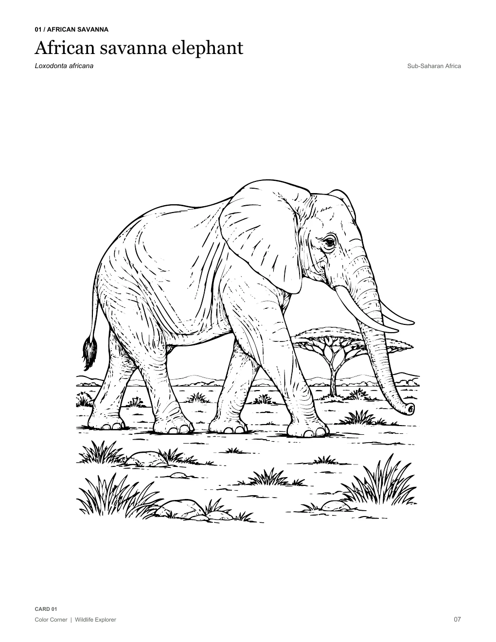 African savanna elephant coloring page